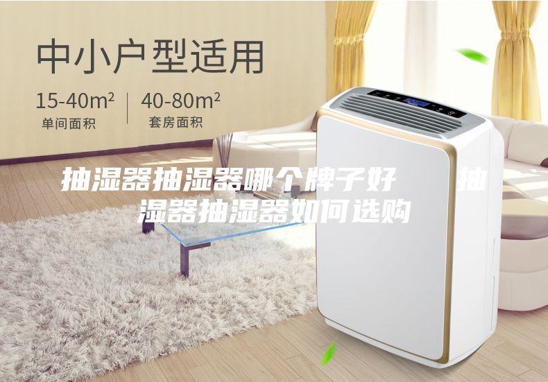 抽濕器抽濕器哪個(gè)牌子好   抽濕器抽濕器如何選購