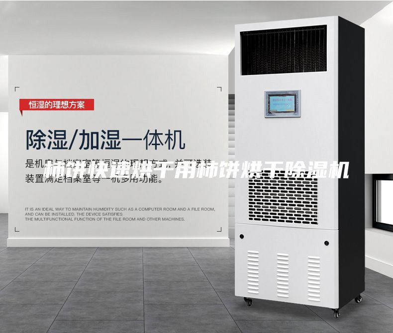 柿餅快速烘干用柿餅烘干除濕機(jī)