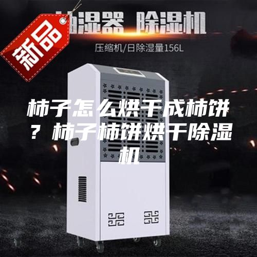 柿子怎么烘干成柿餅？柿子柿餅烘干除濕機(jī)