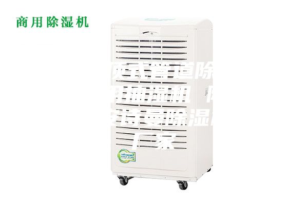 武漢吊頂式管道除濕機，游泳館用抽濕機 除濕防潮設備安詩曼除濕機生產(chǎn)廠家