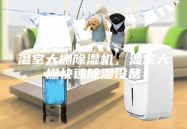 溫室大棚除濕機(jī)，溫室大棚快速除濕設(shè)備