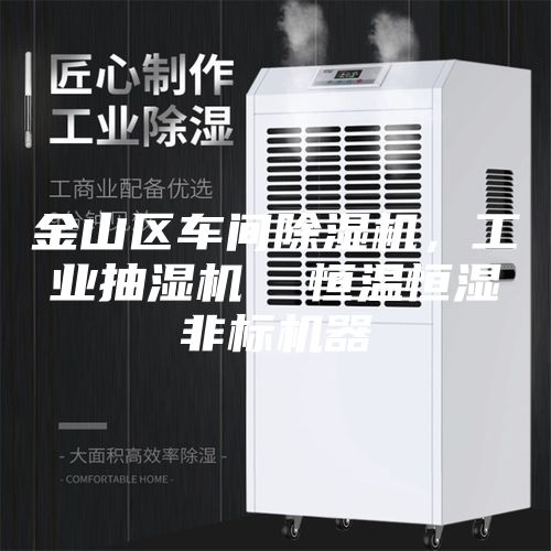 金山區(qū)車間除濕機(jī)，工業(yè)抽濕機(jī)  恒溫恒濕非標(biāo)機(jī)器